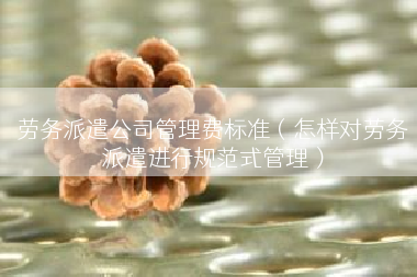 劳务派遣公司管理费标准（怎样对劳务派遣进行规范式管理）