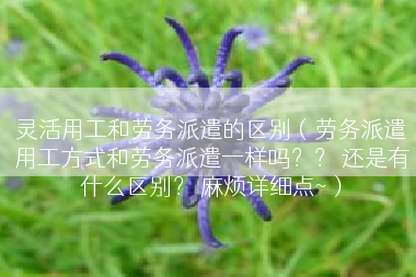 灵活用工和劳务派遣的区别（劳务派遣用工方式和劳务派遣一样吗？？ 还是有什么区别？ 麻烦详细点~）