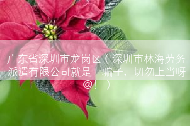 广东省深圳市龙岗区（深圳市林海劳务派遣有限公司就是一骗子，切勿上当呀@！）