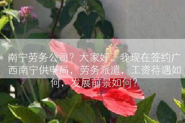南宁劳务公司？大家好，我现在签约广西南宁供电局，劳务派遣，工资待遇如何，发展前景如何？