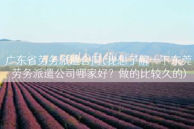 广东省劳务派遣合同(我想了解一下东莞劳务派遣公司哪家好？做的比较久的)