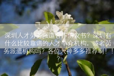 深圳人才劳务派遣合作协议书？深圳有什么比较靠谱的人才中介机构，或者劳务派遣机构吗？各位大神多多推荐啊！！？