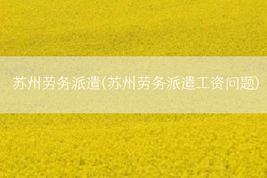 苏州劳务派遣(苏州劳务派遣工资问题)