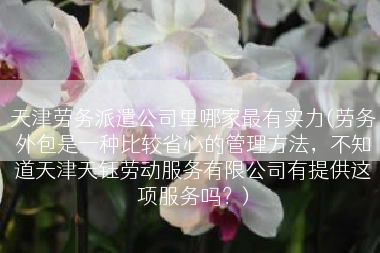 天津劳务派遣公司里哪家最有实力(劳务外包是一种比较省心的管理方法，不知道天津天钰劳动服务有限公司有提供这项服务吗？)