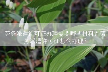 劳务派遣许可证办理需要哪些材料？劳务派遣许可证怎么办理？