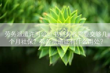 劳务派遣许可证证书拥有者需要交够几个月社保？劳务派遣证有什么用处？