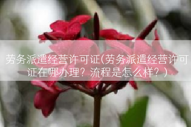 劳务派遣经营许可证(劳务派遣经营许可证在哪办理？流程是怎么样？)