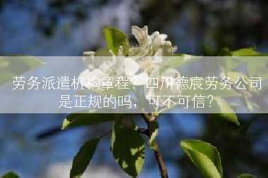 劳务派遣机构章程？四川德宸劳务公司是正规的吗，可不可信？