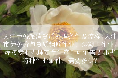 天津劳务派遣资质办理条件及流程?天津市劳务分包资质钢筋作业、混凝土作业、焊接专业办理安全生产许可证需要哪些特种作业证件，需要多少?