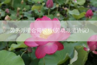 劳务派遣合同模板(劳动派遣协议)
