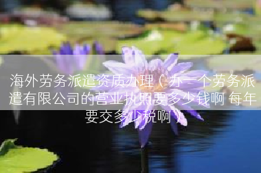 海外劳务派遣资质办理（办一个劳务派遣有限公司的营业执照要多少钱啊 每年要交多少税啊）