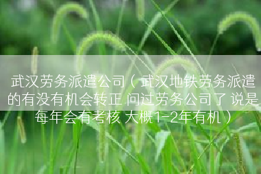 武汉劳务派遣公司（武汉地铁劳务派遣的有没有机会转正 问过劳务公司了 说是每年会有考核 大概1-2年有机）