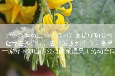 劳务派遣员工劳动合同？面试成功公司让我去签合同，去了发现那个合同是另一家我不知道的公司的派遣员工劳动合同书？