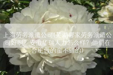 上海劳务派遣公司(芜湖哪家劳务派遣公司好啊？安徽华瑞人力怎么样？他们在合肥做的蛮不错的)