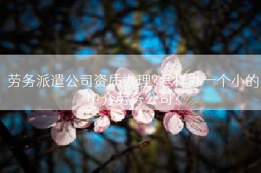 劳务派遣公司资质办理?怎样办一个小的中介劳务公司?