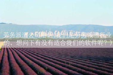 劳务派遣公司电话(我们是劳务派遣行业的，想问下有没有适合我们的软件呢？)