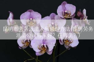 昆明市劳务派遣人员管理办法(昆明劳务派遣公司哪家好？在哪里？)