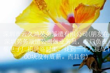 深圳市云久鸿劳务派遣有限公司(朋友在深圳劳务派遣公司做业务员，专门负责帮电子厂招聘临时工，找到一个人提成100块没有底薪。而且包)
