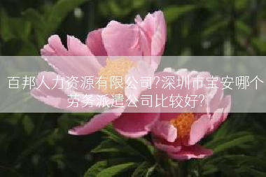百邦人力资源有限公司?深圳市宝安哪个劳务派遣公司比较好?
