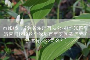 泰如(深圳)劳务派遣有限公司(你知道观澜南门这边这个深圳市宝安区鑫皖劳务派遣有限公司么？)
