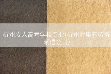 杭州成人高考学校专业(杭州哪里有劳务派遣公司)