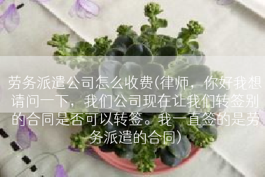 劳务派遣公司怎么收费(律师，你好我想请问一下，我们公司现在让我们转签别的合同是否可以转签。我一直签的是劳务派遣的合同)
