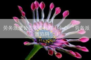 劳务派遣公司收费标准（小心 “劳务派遣陷阱”）