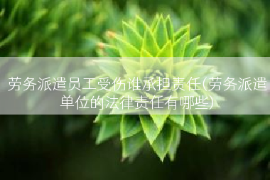 劳务派遣员工受伤谁承担责任(劳务派遣单位的法律责任有哪些)