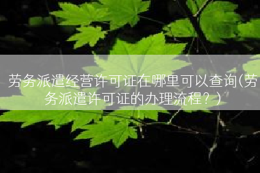 劳务派遣经营许可证在哪里可以查询(劳务派遣许可证的办理流程？)