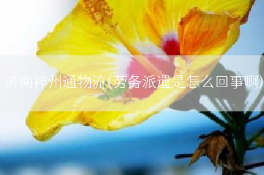济南神州通物流(劳务派遣是怎么回事啊)