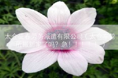太仓征春劳务派遣有限公司（太仓车管所搬新家了吗？急！！！！！）