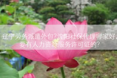 辽宁劳务派遣外包?沈阳社保代理哪家好，要有人力资源服务许可证的?
