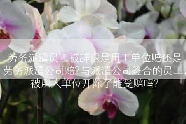劳务派遣员工被辞退是用工单位赔还是劳务派遣公司赔?与派遣公司签合的员工，被用人单位开除了能受赔吗?