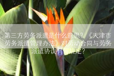 第三方劳务派遣是什么意思？《天津市劳务派遣管理办法》对劳动合同与劳务派遣协议有何规定？