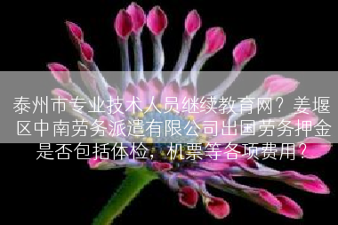 泰州市专业技术人员继续教育网？姜堰区中南劳务派遣有限公司出国劳务押金是否包括体检，机票等各项费用？