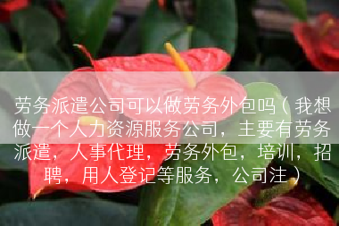 劳务派遣公司可以做劳务外包吗（我想做一个人力资源服务公司，主要有劳务派遣，人事代理，劳务外包，培训，招聘，用人登记等服务，公司注）