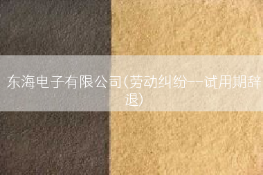 东海电子有限公司(劳动纠纷--试用期辞退)