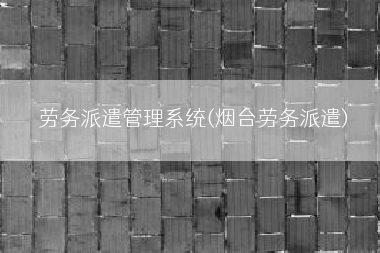 劳务派遣管理系统(烟台劳务派遣)