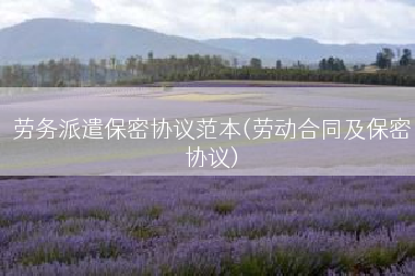 劳务派遣保密协议范本(劳动合同及保密协议)