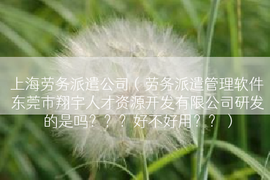 上海劳务派遣公司（劳务派遣管理软件东莞市翔宇人才资源开发有限公司研发的是吗？？？好不好用？？）
