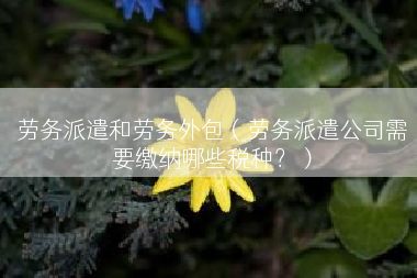 劳务派遣和劳务外包（劳务派遣公司需要缴纳哪些税种？）