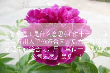 劳务派遣工是什么意思(工作十一年，前五年在用人单位签合同，后六年在劳务派遣中心签合同，用工单位一直是烟草公司未变，最后一)