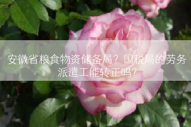 安徽省粮食物资储备局？国税局的劳务派遣工能转正吗？