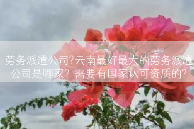 劳务派遣公司?云南最好最大的劳务派遣公司是哪家？需要有国家认可资质的?