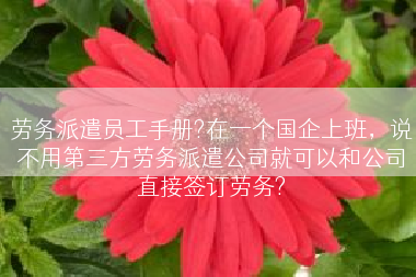 劳务派遣员工手册?在一个国企上班，说不用第三方劳务派遣公司就可以和公司直接签订劳务?