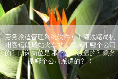劳务派遣管理系统软件（上海铁路局杭州客运段城站火车站安检属于哪个公司的？问询岗位是哪个公司派遣的？乘务是哪个公司派遣的？）
