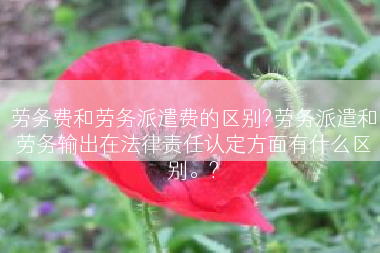 劳务费和劳务派遣费的区别?劳务派遣和劳务输出在法律责任认定方面有什么区别。?