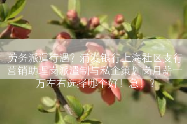 劳务派遣待遇？浦发银行上海社区支行营销助理岗派遣制与私企策划岗月薪一万左右选择哪个好！急！？
