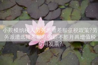 小规模纳税人劳务派遣差额征税政策?劳务派遣选择差额征收能不能开具增值税专用发票?