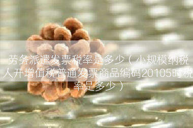 劳务派遣发票税率是多少（小规模纳税人开增值税普通发票商品编码20105时税率是多少）